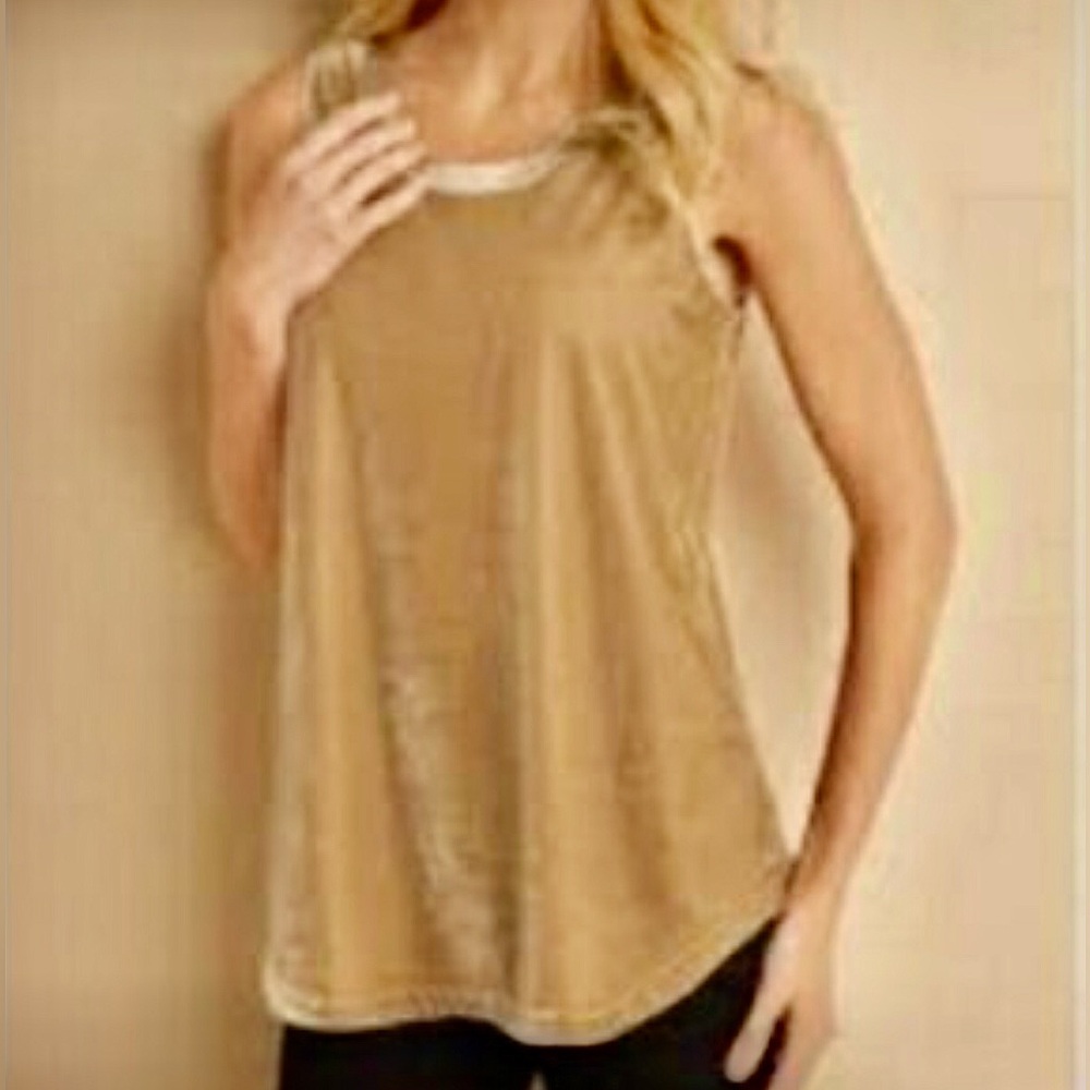 SOFT SURROUNDINGS Velvet Sleeveless Top